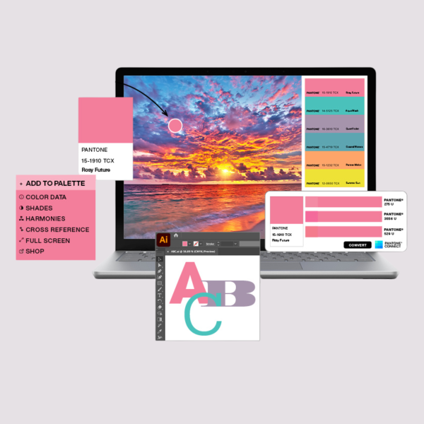 Connect Annual License (Per Seat)