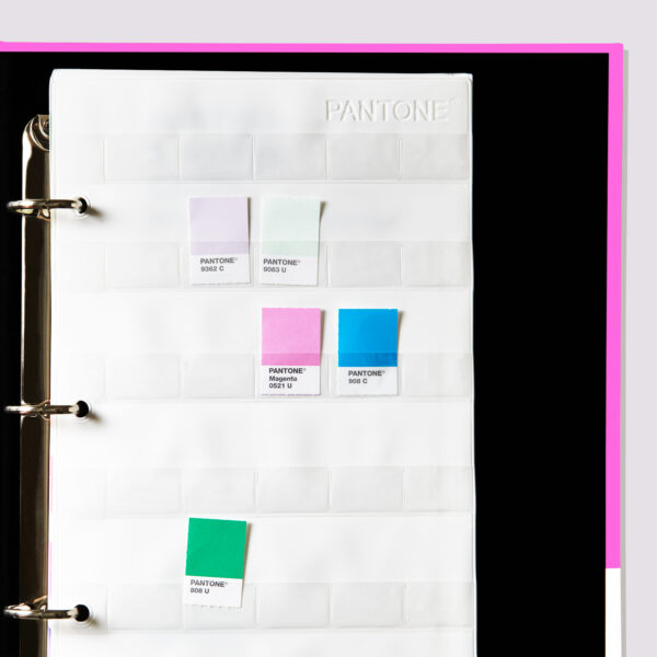 Pastels & Neons Chips | Coated & Uncoated