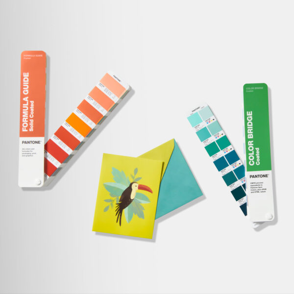 Coated Combo | Formula Guide + Color Bridge (Coated)