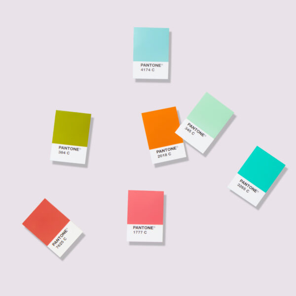 Solid Chips | Coated & Uncoated